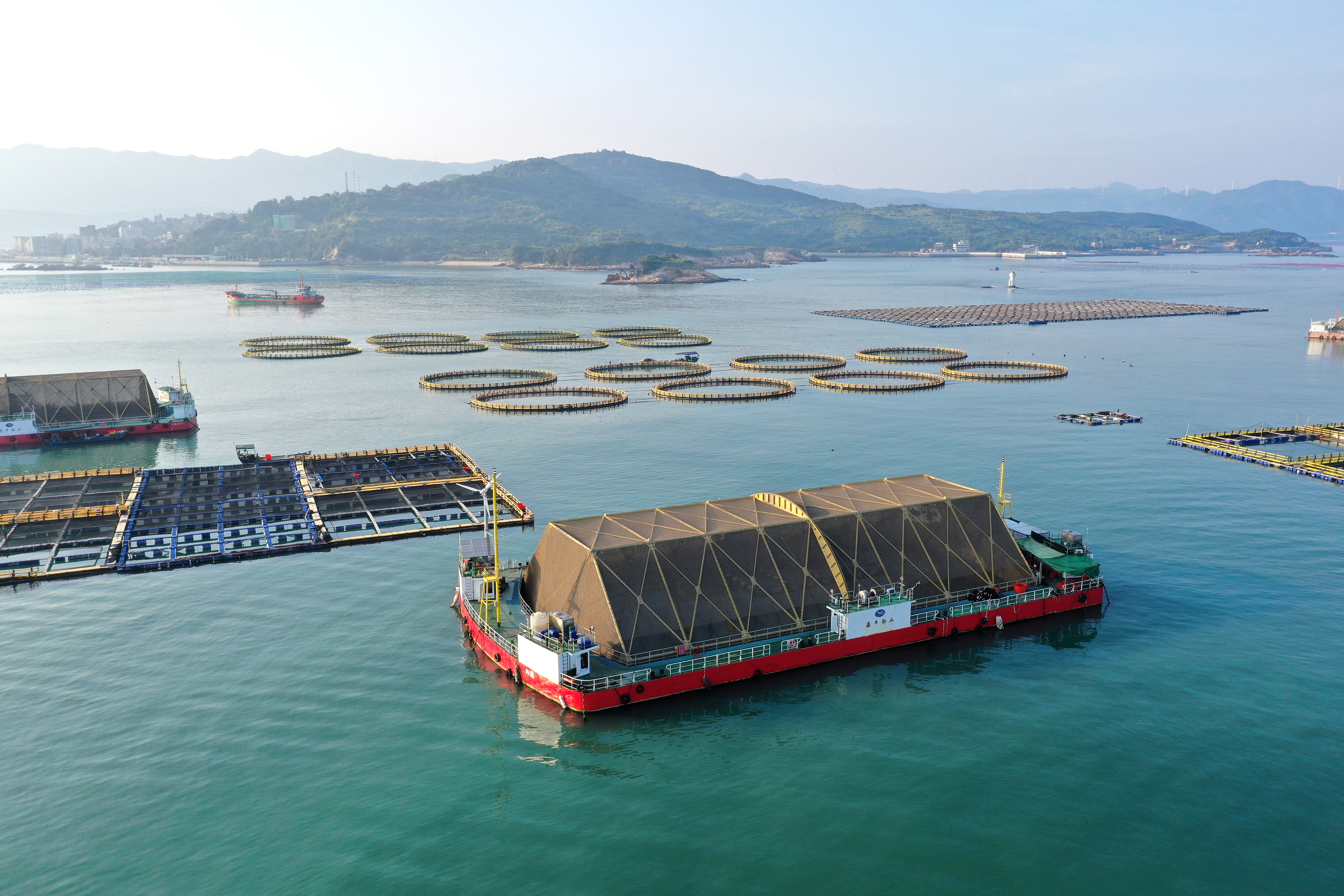 2024年9月10日拍攝的福建省福州市連江縣定海灣海域的現(xiàn)代化“海上糧倉”。