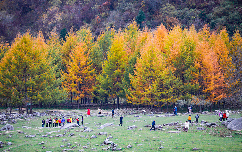 2023年10月27日，深秋時(shí)節(jié)的陜西秦嶺太子嶺漫山紅黃、色彩交織，進(jìn)入最佳觀賞期。