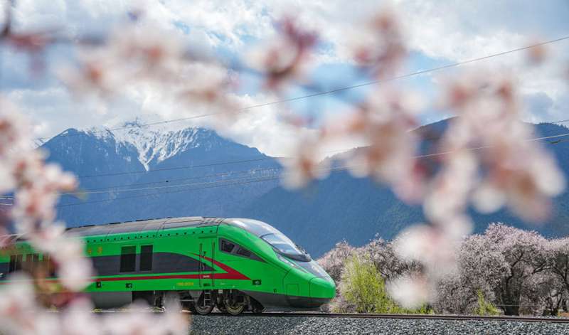 2025年4月2日，復(fù)興號(hào)列車(chē)穿行在拉林鐵路林芝段。