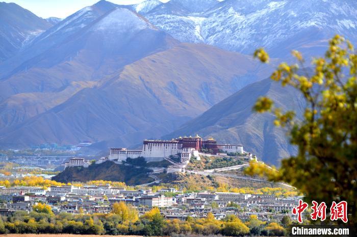 10月24日，雪山、布達拉宮和秋色組成“風景畫”?！〗w波 攝
