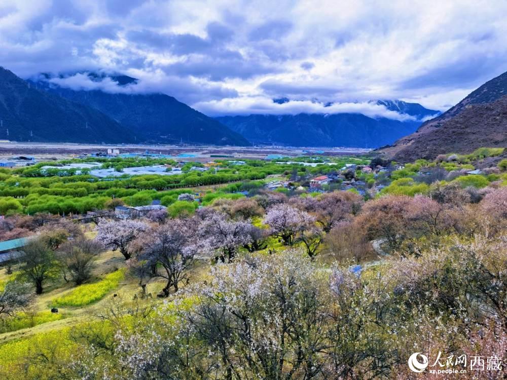 桃花從中的“童話小鎮(zhèn)”。人民網(wǎng) 李海霞攝