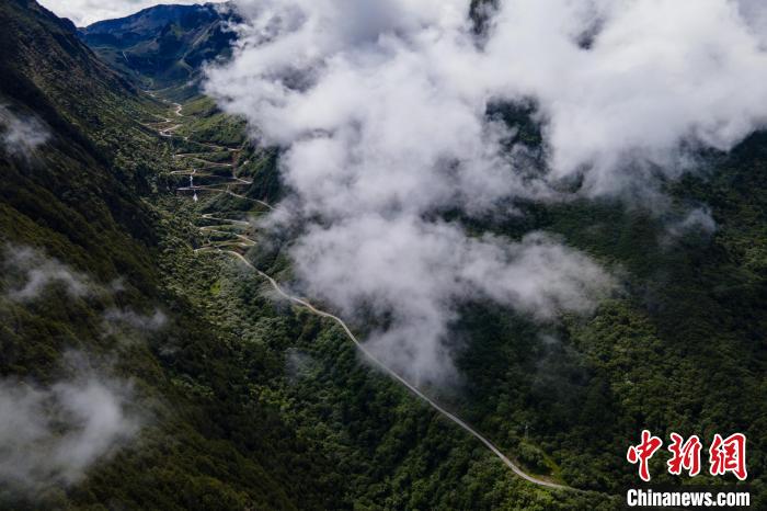 西藏山南勒布溝景區(qū)的盤(pán)山公路被云霧環(huán)繞?！〗w波 攝
