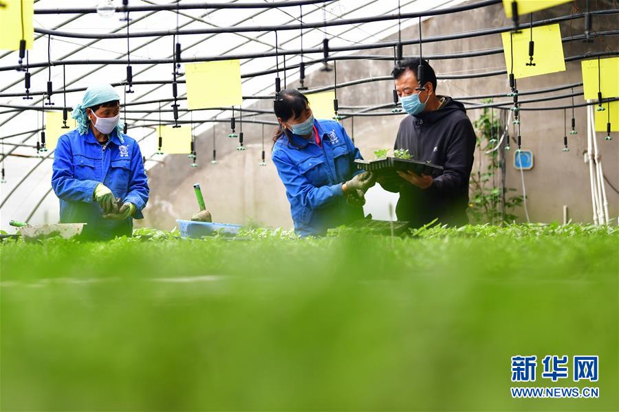 (脫貧攻堅(jiān)·圖片故事)(14)扶貧相冊(cè)——藏族村寨的脫貧“貼心人”