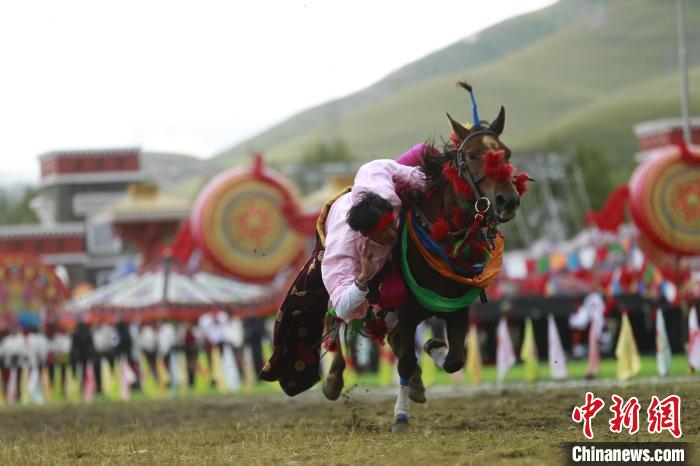青海玉樹：70年，幸福生活如格桑花綻放