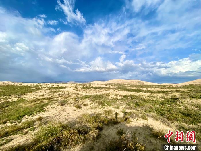圖為關停四年后的沙島景區(qū)現(xiàn)狀?！±罱瓕?攝