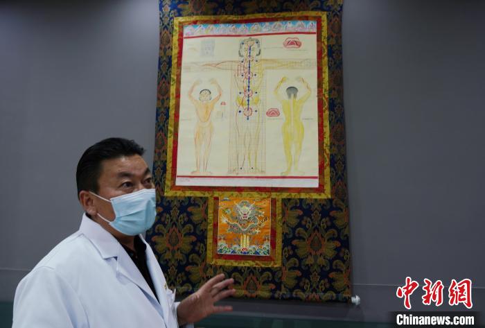 圖為興?？h藏醫(yī)院院長介紹藏醫(yī)四部醫(yī)典詳實圖。　馬銘言 攝