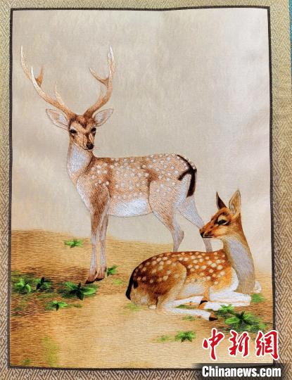圖為藏繡作品?！∑钤鲚?攝