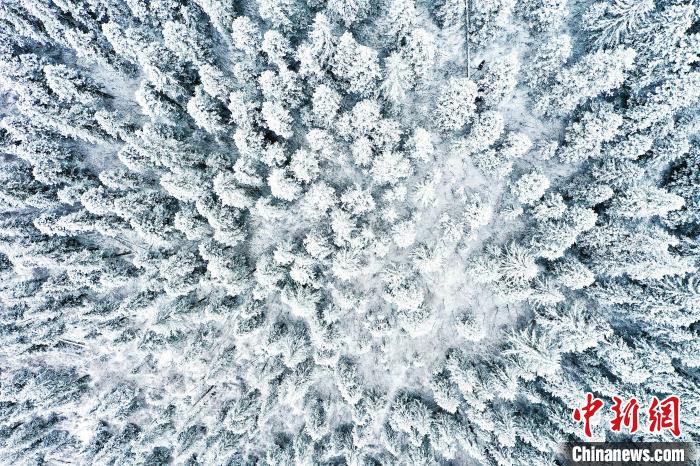 壤塘的雪后美景。　壤塘縣融媒體中心供圖