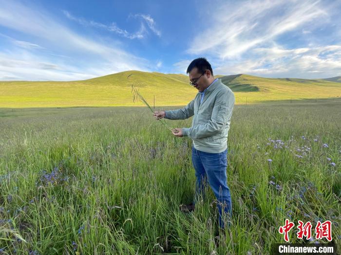 青海達(dá)日“援青縣長(zhǎng)”：雪域高原生態(tài)、民生“并蒂花開”