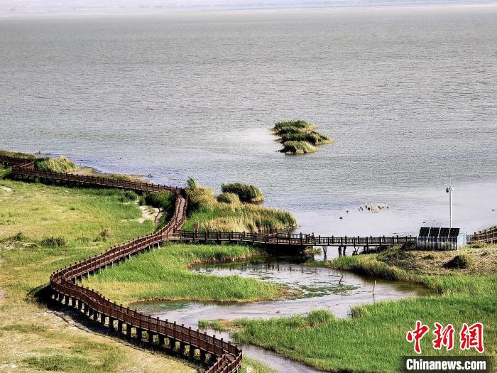 圖為都蘭湖國家濕地公園觀光棧道?！∑钤鲚?攝