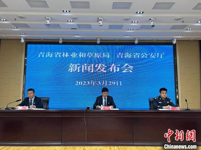 青海去年占用林地、草地準(zhǔn)予許可件同比實現(xiàn)“雙減”