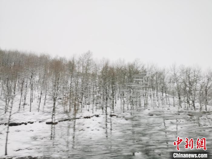 圖為青海青沙山區(qū)域被降雪覆蓋?！?zhí)砀?攝