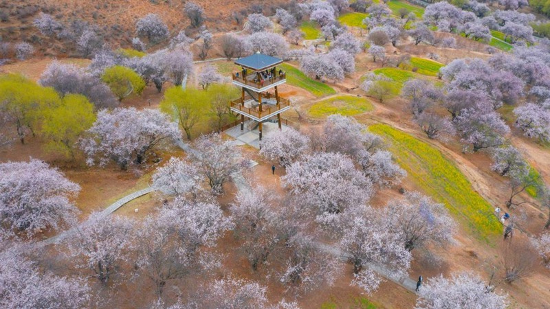 林芝嘎拉村。 張靜攝