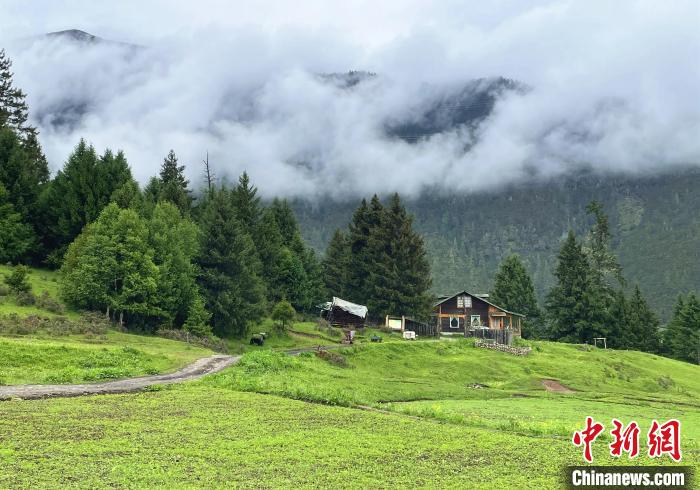 6月10日，魯朗小鎮(zhèn)高山牧場景區(qū)風(fēng)光?！∪轿木?攝