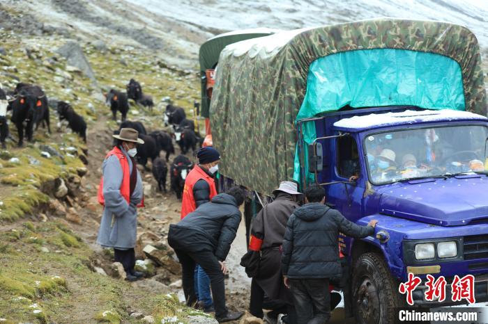 圖為牧民們查看車輛準備出發(fā)?！÷蹇?攝