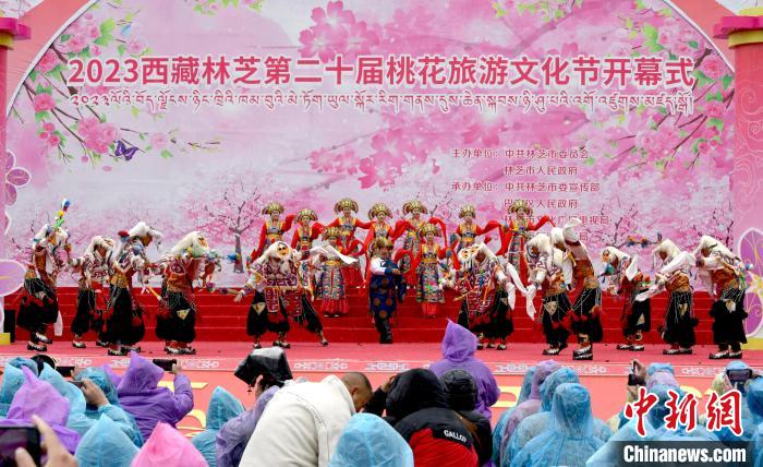 3月28日，西藏林芝第二十屆桃花旅游文化節(jié)開幕式上的文藝表演?！±盍?攝