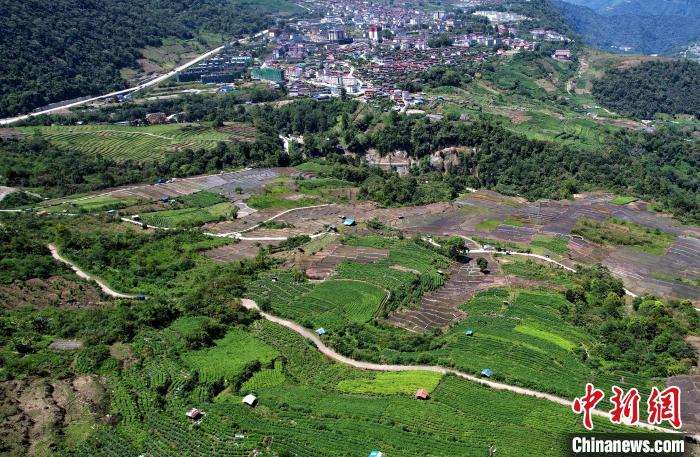 圖為西藏林芝市墨脫縣城附近的茶田。(無人機(jī)照片) 李林 攝