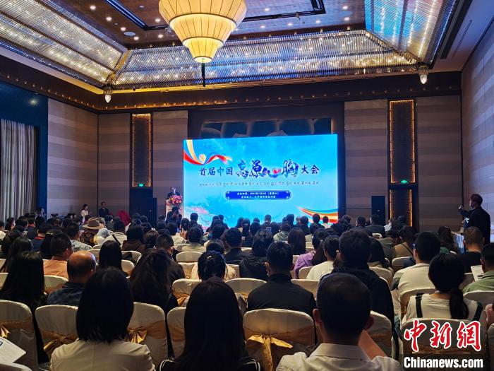 圖為首屆中國(guó)高原心胸大會(huì)現(xiàn)場(chǎng)?！☆D旦旺姆 攝