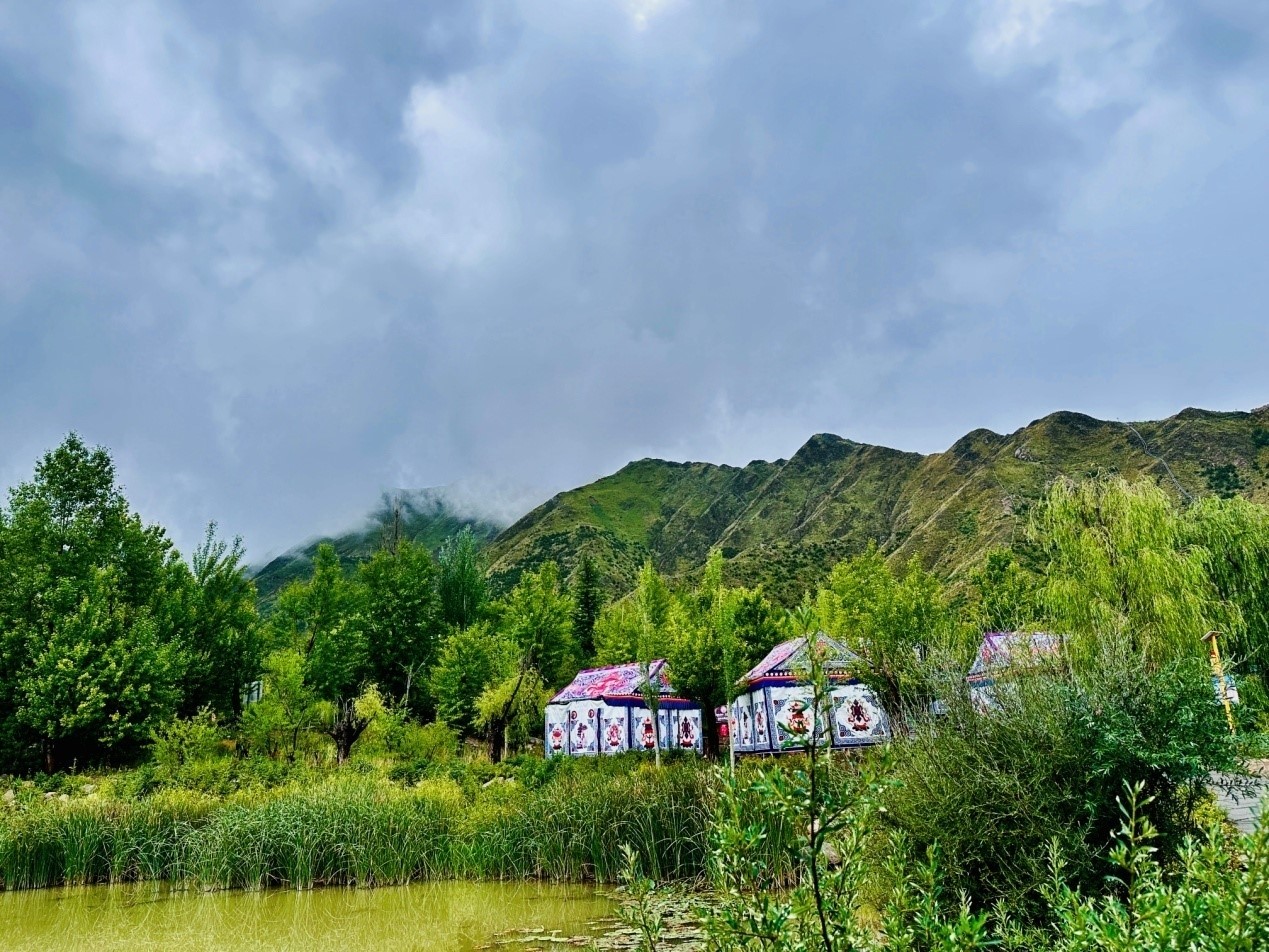 郁郁蔥蔥的南山公園。人民網(wǎng)記者 益西康珠攝