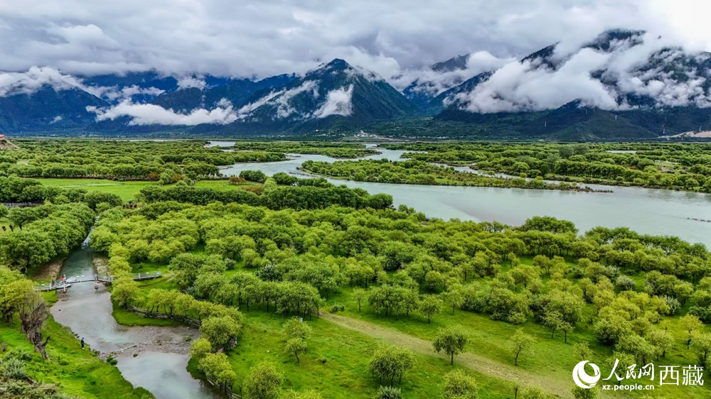 鳥瞰盛夏季節(jié)的雅尼濕地風(fēng)光。人民網(wǎng)記者 次仁羅布攝