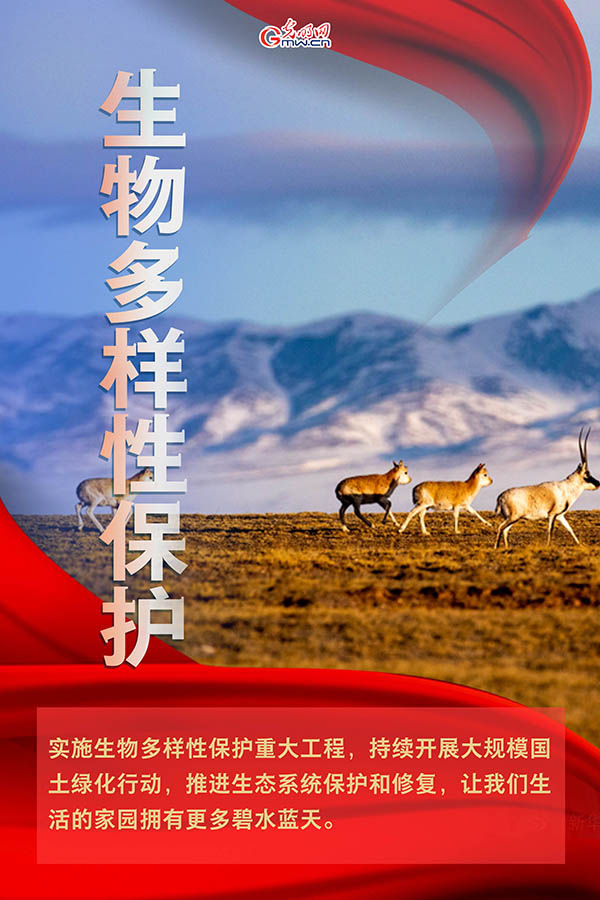 海報| 2021年政府工作報告，提到這些生態(tài)環(huán)保關鍵詞